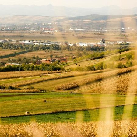 Pensiunea Casa din Vii Seusa Bagian luar foto