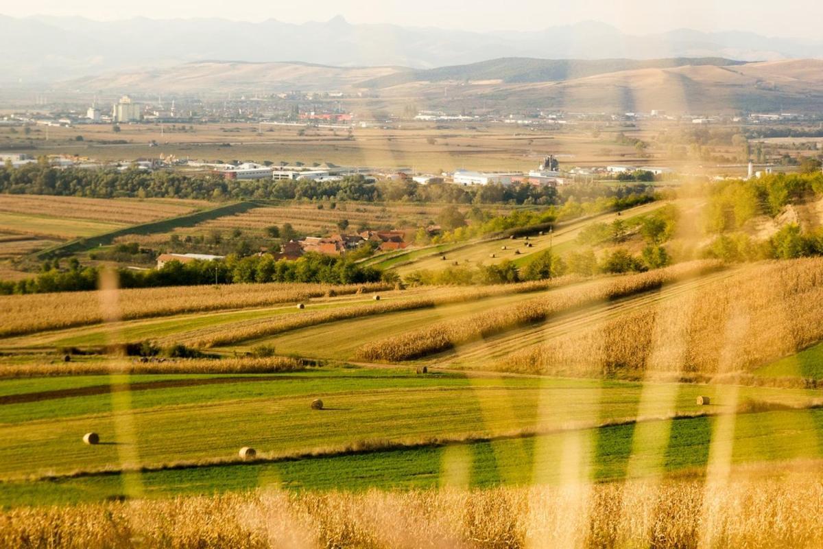 Pensiunea Casa din Vii Seusa Bagian luar foto