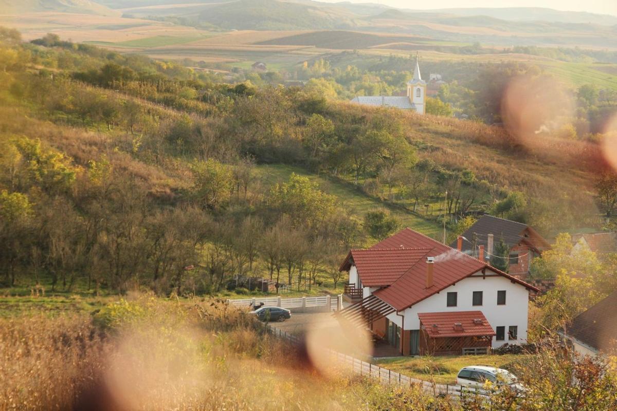 Pensiunea Casa din Vii Seusa Bagian luar foto