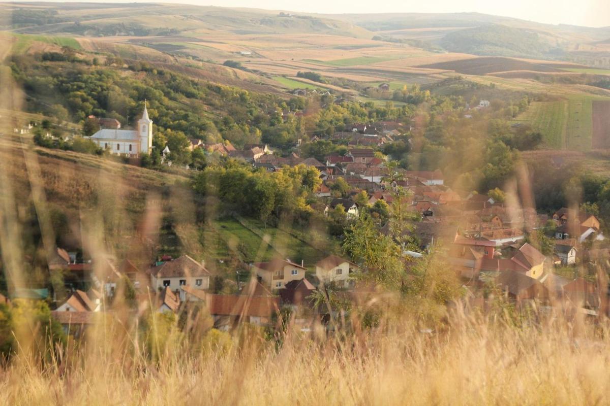 Pensiunea Casa din Vii Seusa Bagian luar foto