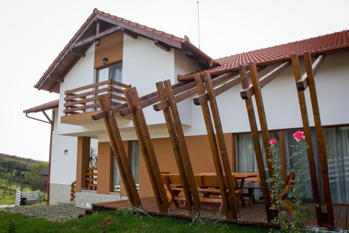 Pensiunea Casa din Vii Seusa Bagian luar foto