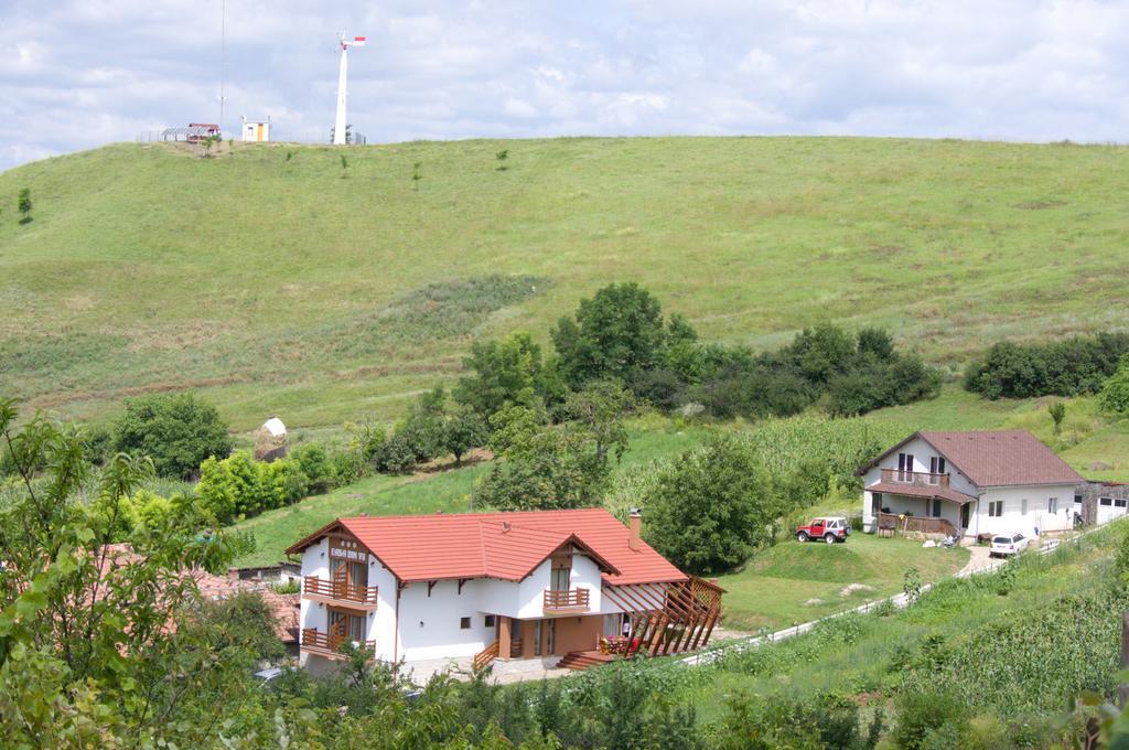 Pensiunea Casa din Vii Seusa Bagian luar foto