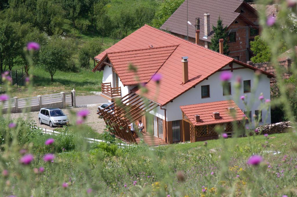 Pensiunea Casa din Vii Seusa Bagian luar foto