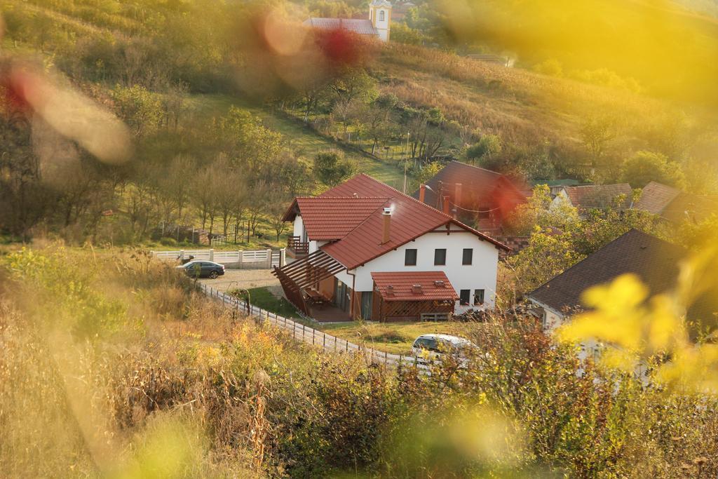 Pensiunea Casa din Vii Seusa Bagian luar foto